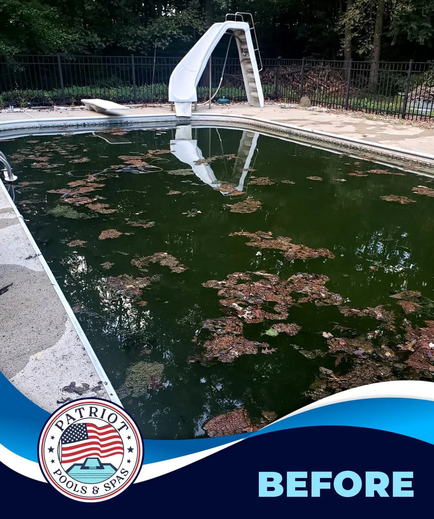 Patriot’s photograph labeled Before shows dark green-looking water and floating leaves in the same pool