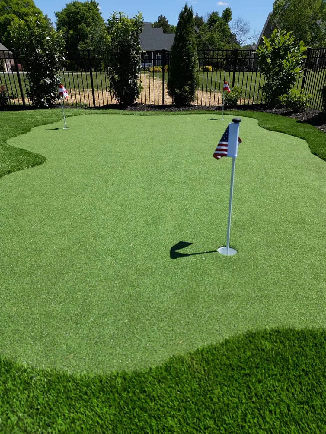 A close photograph shows a flagstick on a putting surface surrounded by a darker green border.